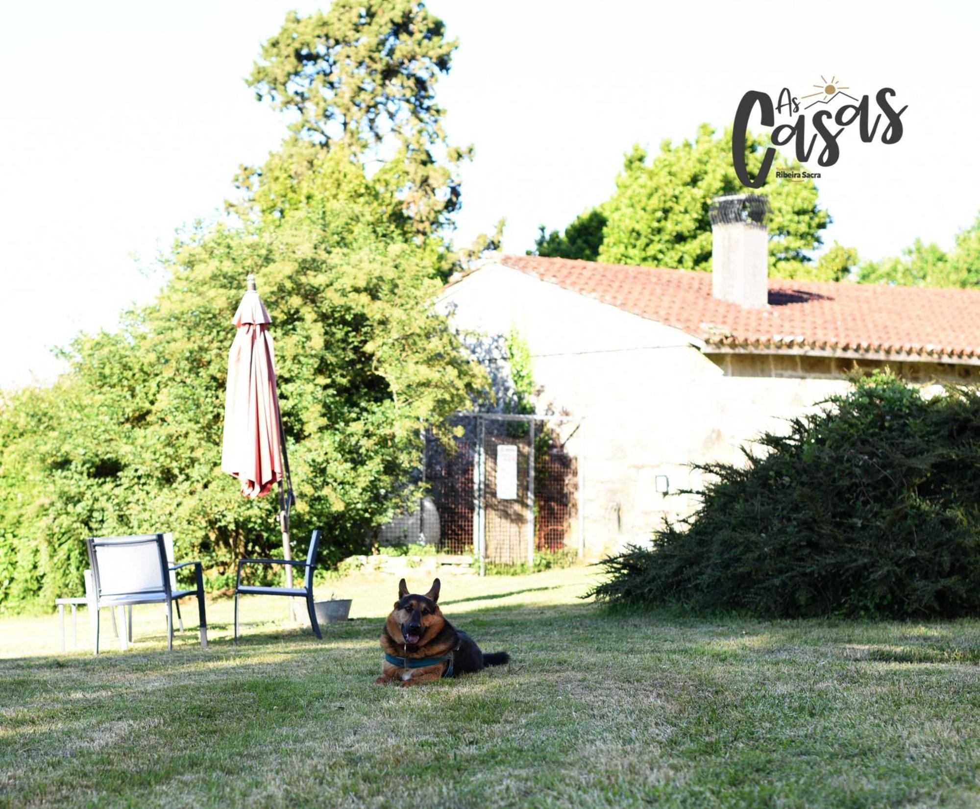 As Casas Ribeira Sacra Hotel Chantada Exterior photo