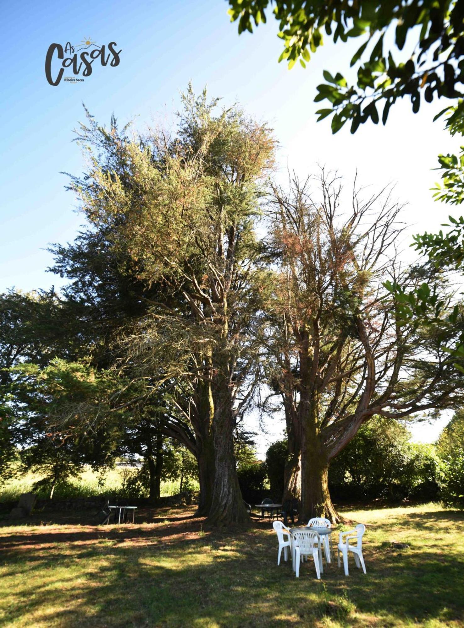 As Casas Ribeira Sacra Hotel Chantada Exterior photo